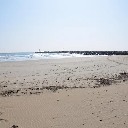Hotel Araur Agde